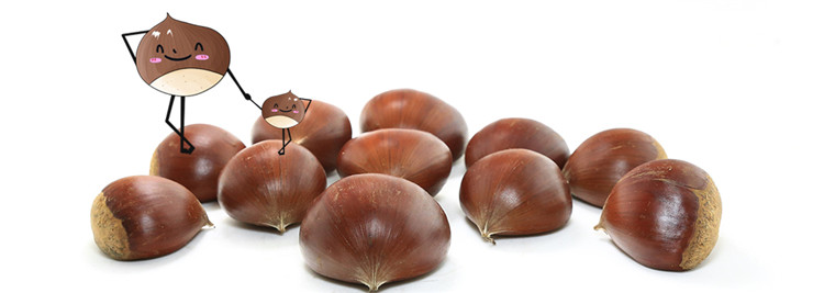 timg 12.jpg