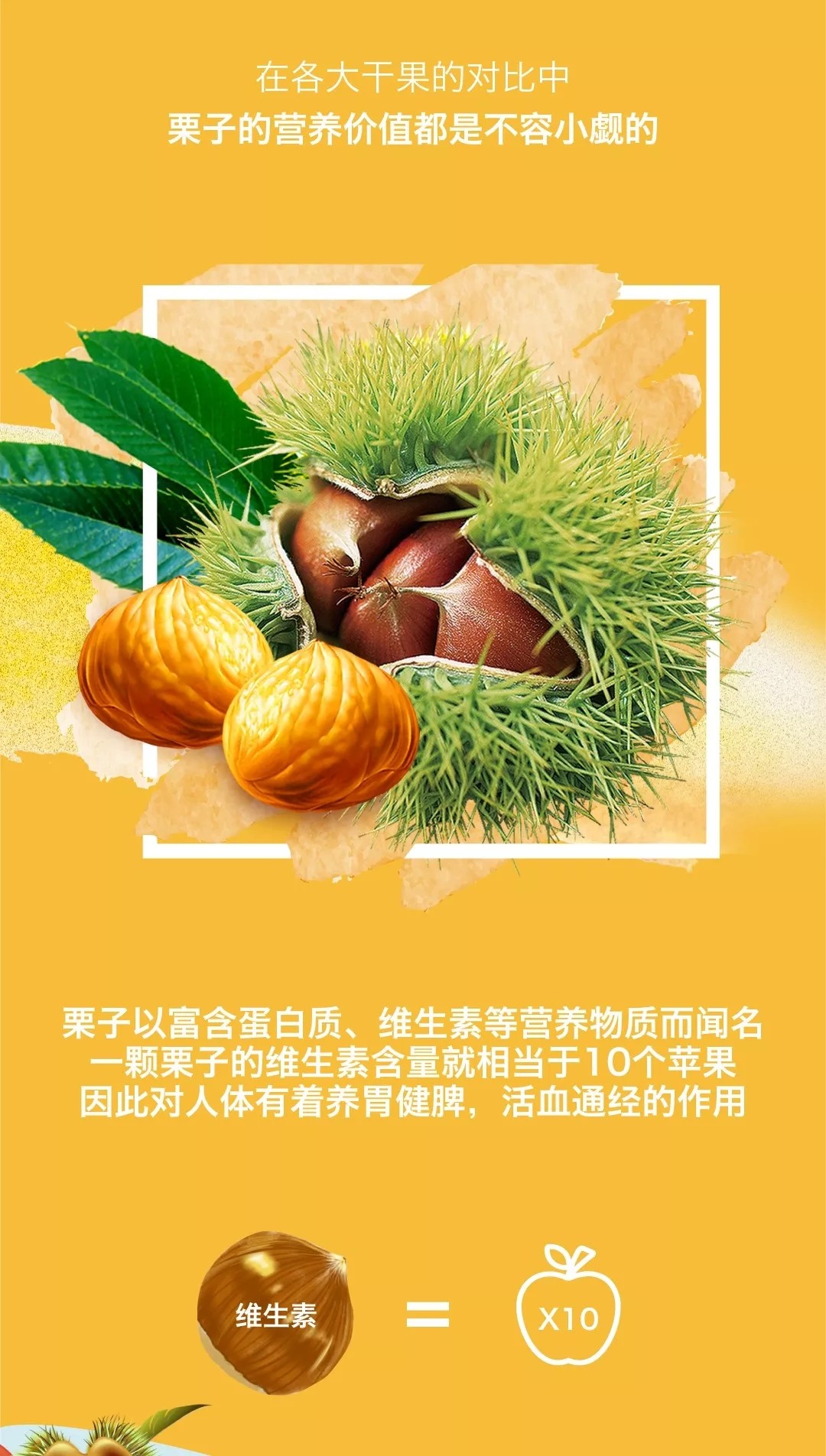栗子季